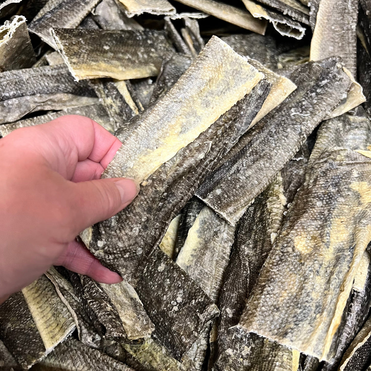 Fish Skin Flatties x 5-1