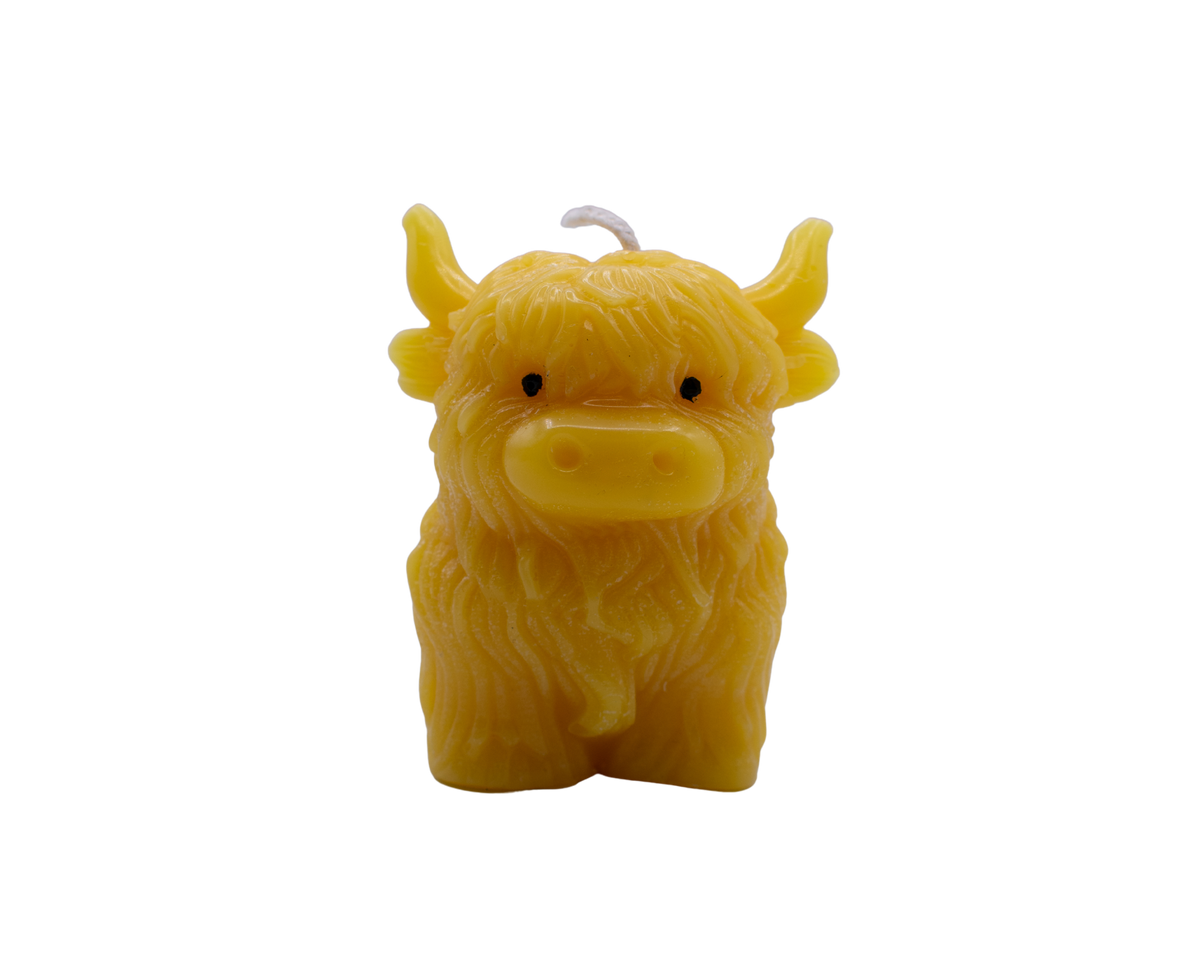 Highland cow beeswax candle shown from a second angle