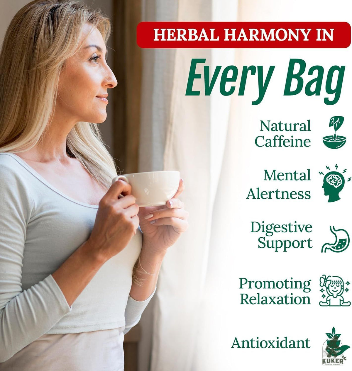Rhodope Mountain Tea | 30g Traditional Bulgarian Herbal Tea