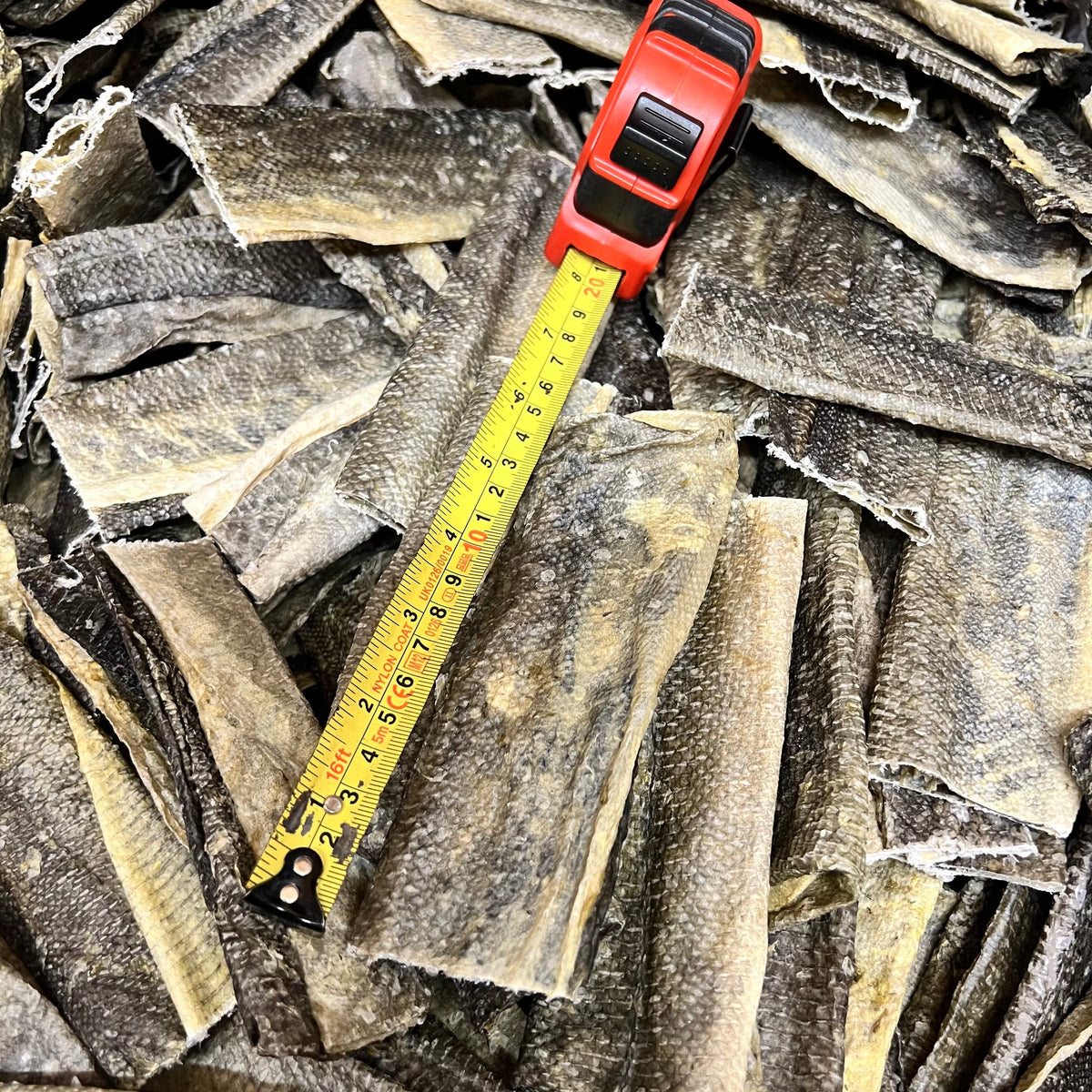 Fish Skin Flatties x 5-2