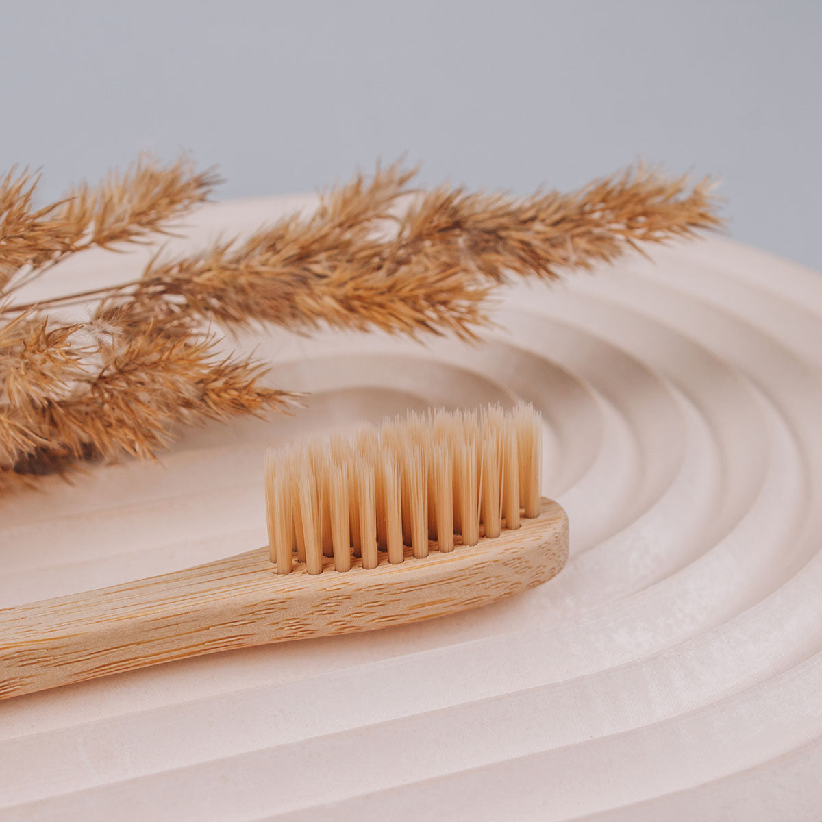 Bamboo Toothbrush Set of 4 | Plastic-Free & Biodegradable