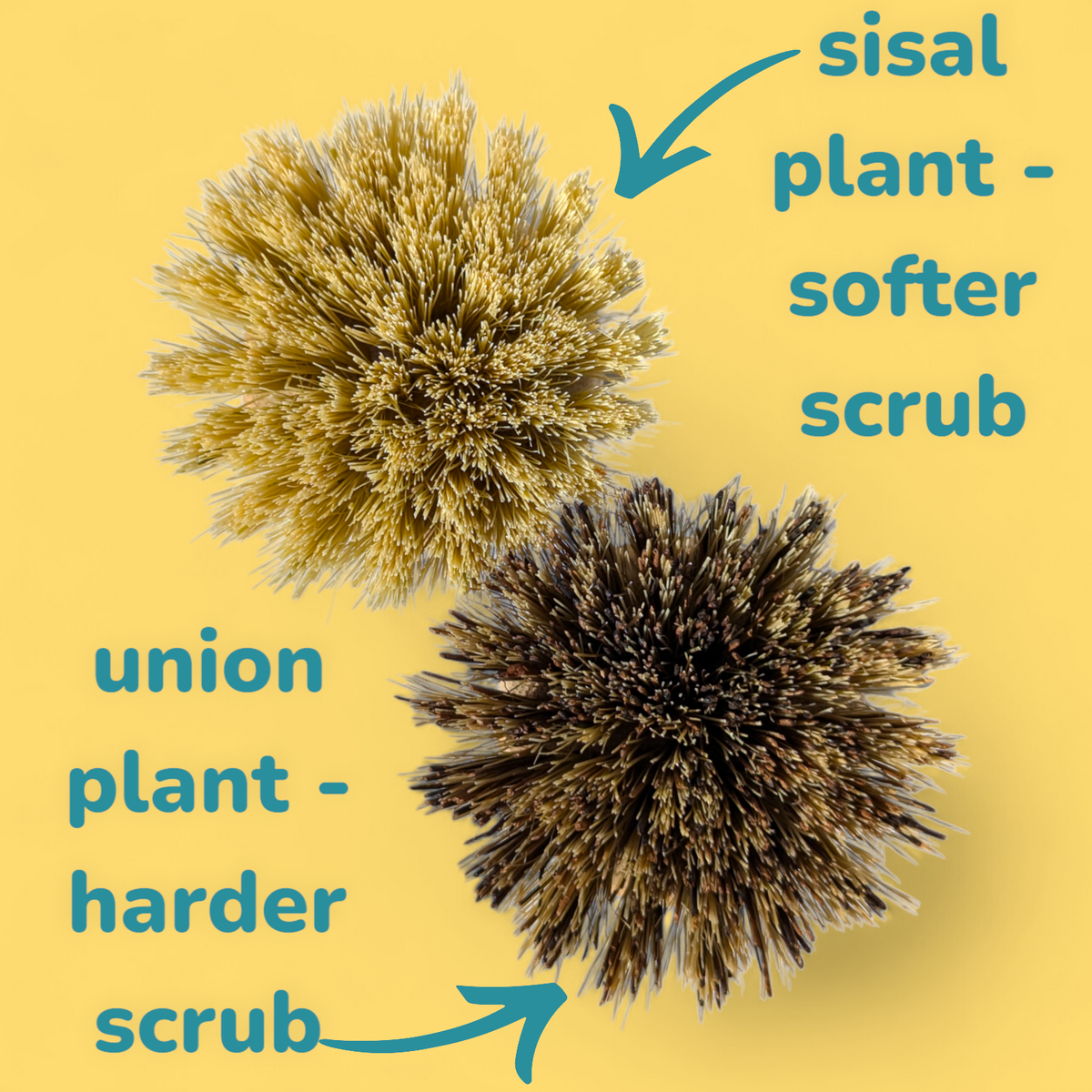 Sustainable Bamboo Cheeky Pot Scrubbers | Natural Wooden Quirky Kitchen Washing Up Cleaning Scrubbing Brushes